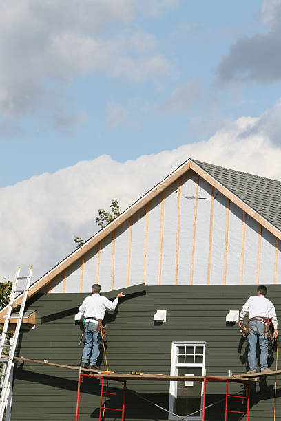 Best Vinyl Siding Installation  in Hudson, MI